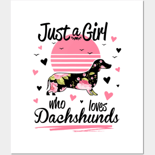 Just A Girl Who Loves Dachshunds Posters and Art